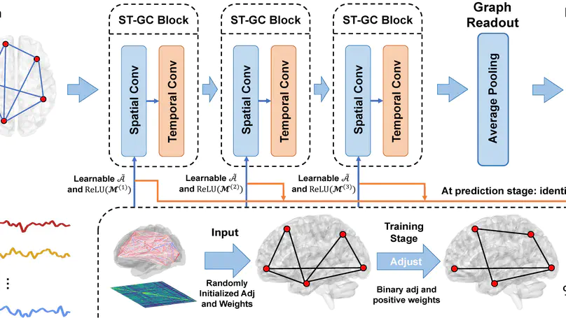 Spatial Temporal Graph Convolution with Graph Structure Self-learning for Early MCI Detection